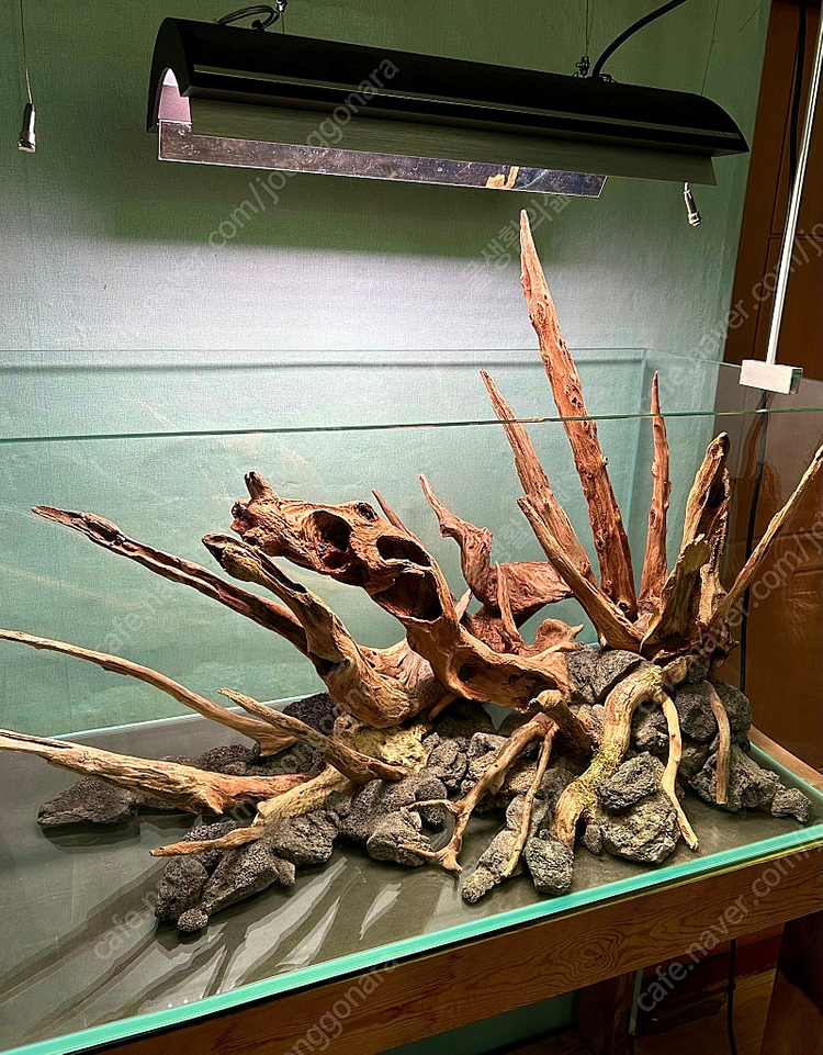 3자4자 유목 레이아웃 어항 구조물--1