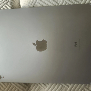 아이패드 프로 11형 64GB 실버