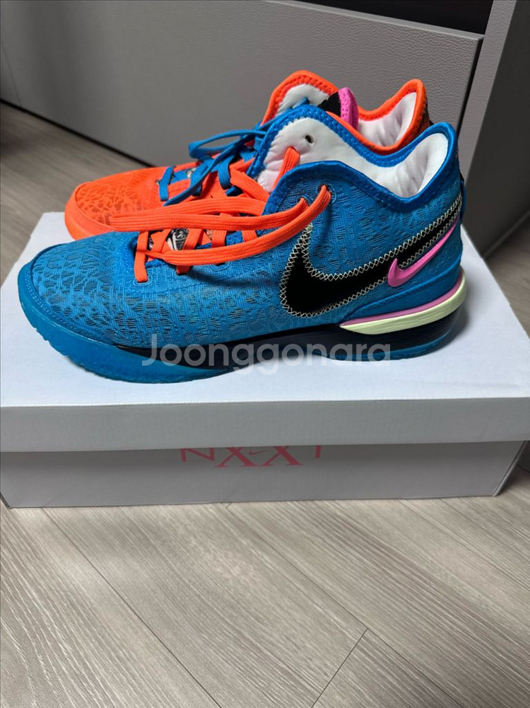 나이키 르브론 넥스트 젠 EP 멀티컬러 270mm--0