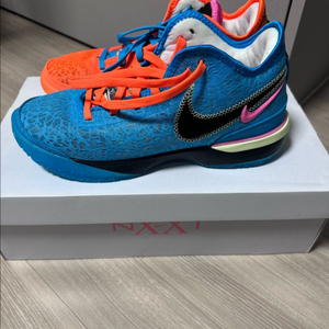 나이키 르브론 넥스트 젠 EP 멀티컬러 270mm