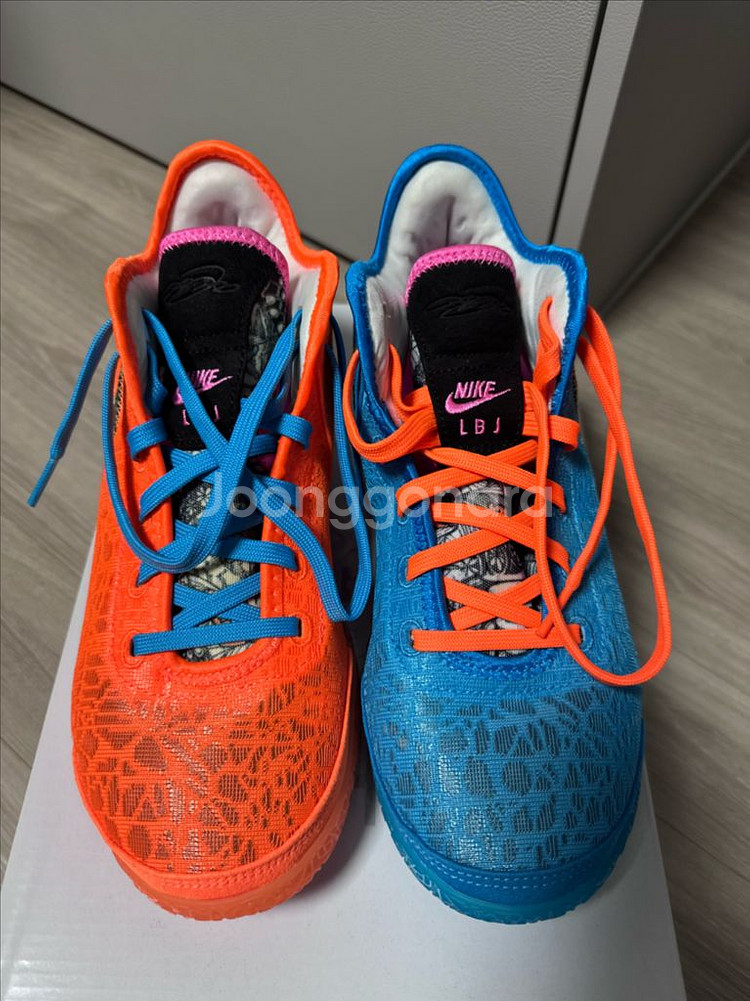 나이키 르브론 넥스트 젠 EP 멀티컬러 270mm--3