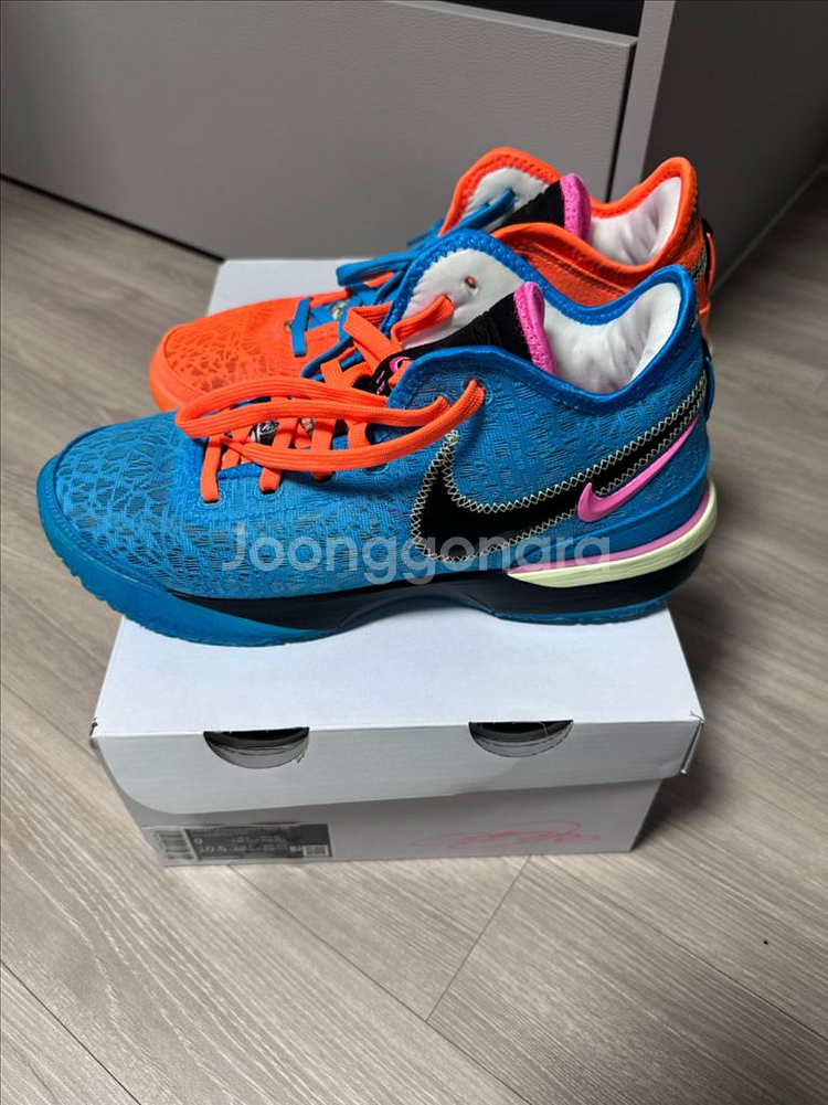 나이키 르브론 넥스트 젠 EP 멀티컬러 270mm--2