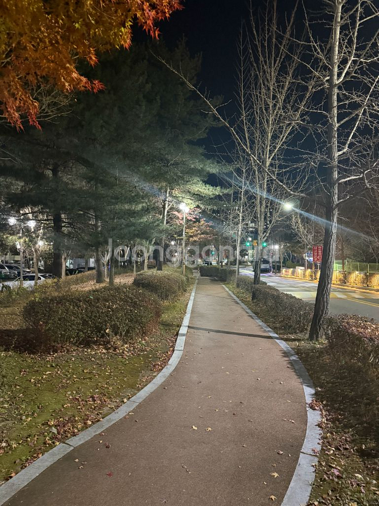 예약용) 구장--0