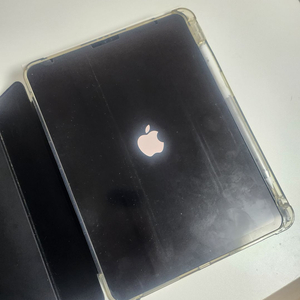 아이패드 프로 11인치 1세대 256기가 셀룰러