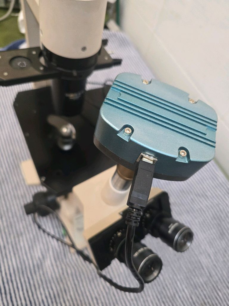 올림푸스 ck2 위상차 현미경 이미지