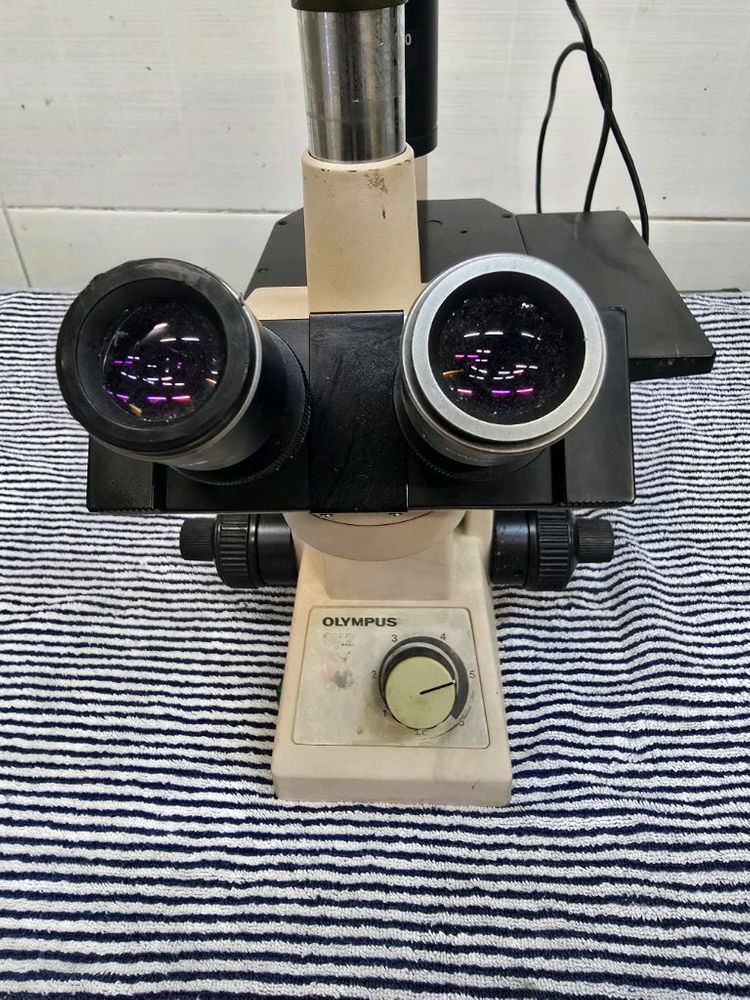 올림푸스 ck2 위상차 현미경 이미지