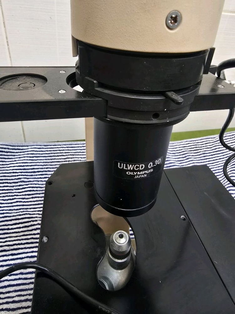 올림푸스 ck2 위상차 현미경 이미지