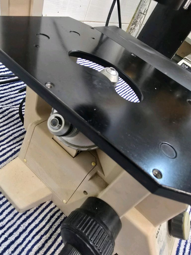 올림푸스 ck2 위상차 현미경 이미지