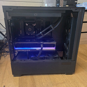 인텔 285K 96GB ssd 2tb p51 반본체