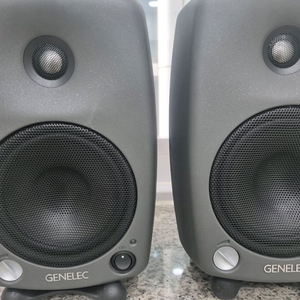 제네렉 8130A 스튜디오 모니터 스피커