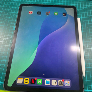 아이패드프로11인치 1세대 64기가 셀룰러 판매합니다