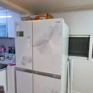 LG 디오스 4도어 냉장고 870L