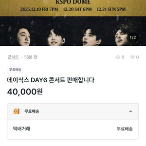 데이식스 콘서트 티켓 사기