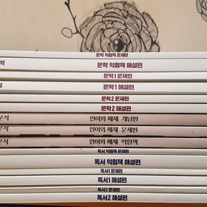 메가스터디 강민철(문학, 언매, 독서)