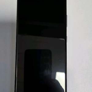 갤럭시 s21 울트라 실버 256gb