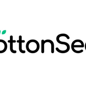 K리그 축구 코튼시드 수원 서울 안양 포항 미등록 카드