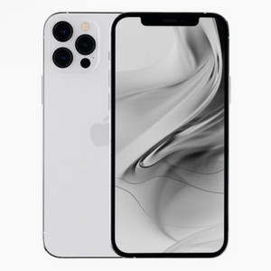 아이폰12프로맥스 화이트 256기가 (S급)