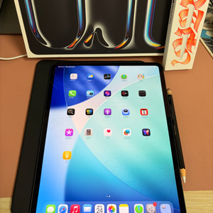 아이패드 프로 m4 13인치 7세대 256기가 스블 와이파이+애펜프로