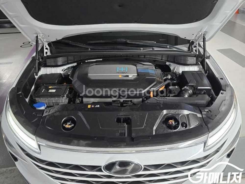 [현대]넥쏘 프리미엄 (5인승) #가을특가--5