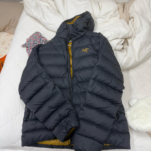 아크테릭스 토륨ar 24k 라지판매