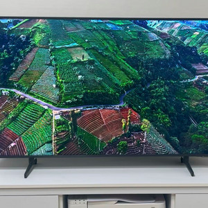 삼성 50인치 QLED TV KQ50QA80AF & TV 다이