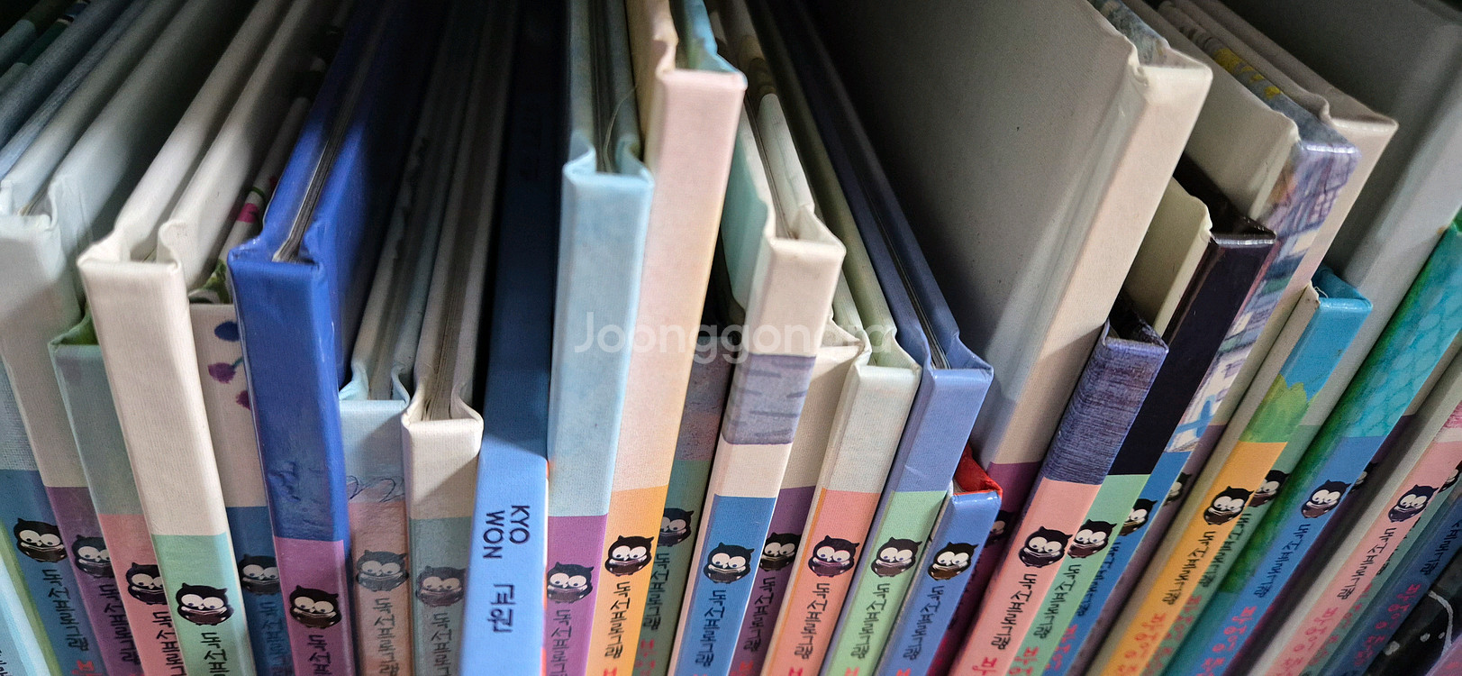 부엉이 책장 2단계 48권 최상--1