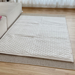 디디오랩 카본 탄소매트 전기매트 퀸사이즈 새것컨디션! 상태최상