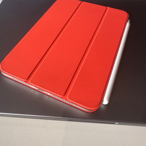 아이패드 미니 6세대 (정품케이스, 애플펜슬 포함) / 256G / 셀룰러