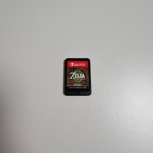 닌텐도 스위치 칩 젤다의 전설 왕국의 눈물 왕눈 알칩
