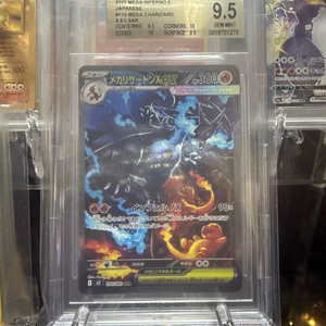 인페르노 x 메가 리자몽 sar bgs9.5 일판