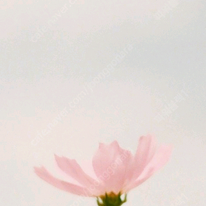 스타벅스 카페아메리카노T 3700원(3장 있음)