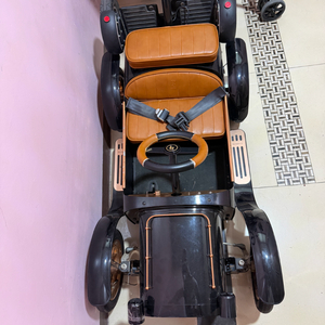 디트로네S팔아요