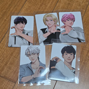 플레이브 틱톡포카