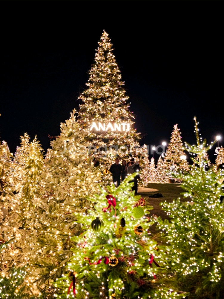 크리스마스 아난티 빌라쥬 호텔 양도합니다--0