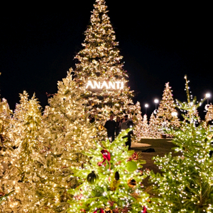 크리스마스 아난티 빌라쥬 호텔 양도합니다