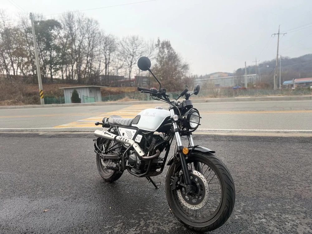 부캐너125/22년식/1만km 이미지