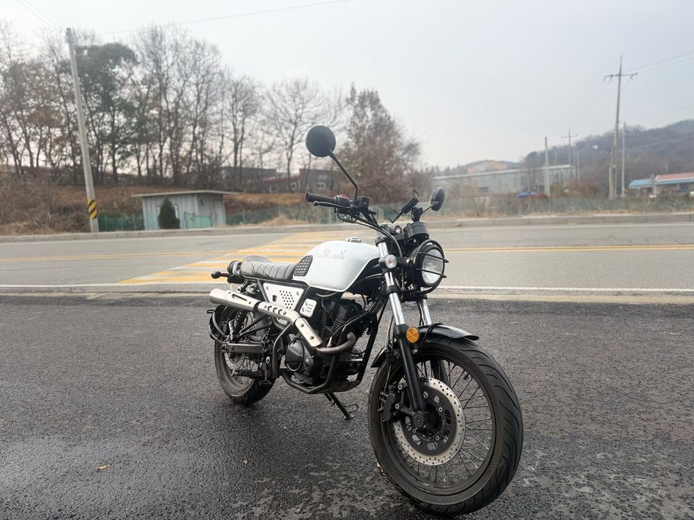 부캐너125/22년식/1만km 이미지