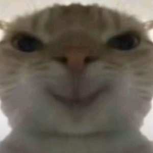 써벨로t4 룩 564등 트랙차 삽니다