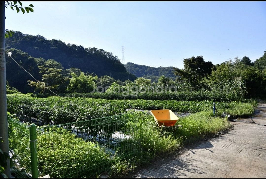 가평역 인근 전원주택, 주말농장, 펜션,토지--3