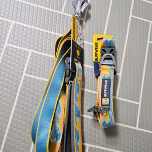 러프웨어 강아지 목줄 + 레인코트 세트