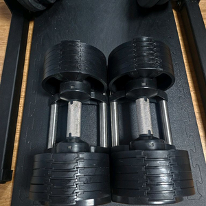 무게조절 덤벨 20kg 한 쌍