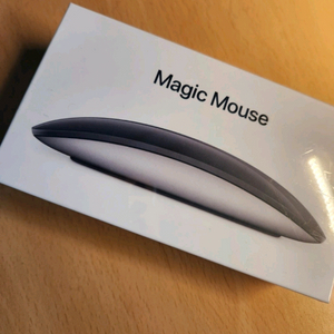 애플 매직 마우스 2세대