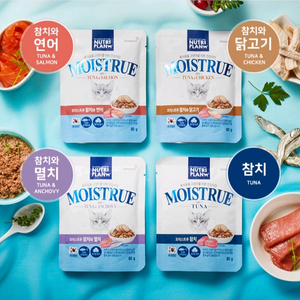 동원 뉴트리플랜 캣 모이스트루 80g 72개/96개