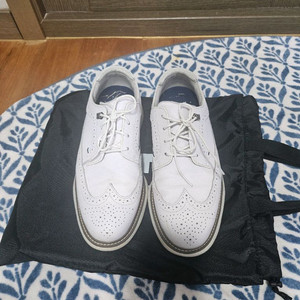 풋조이 스파이크 골프화 280