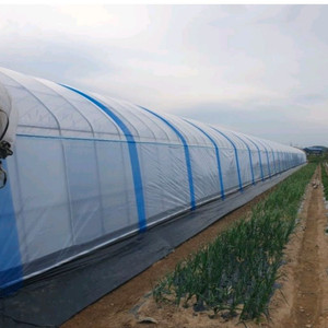 경기도 남부 비닐하우스 임대 구합니다 이미지