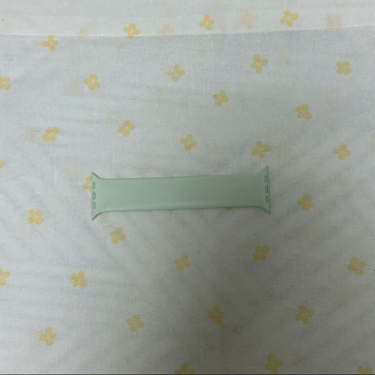 [애플 공식]애플워치 스트랩 45mm 소프트 솔로 루프 (민트, 사이즈 2) 이미지
