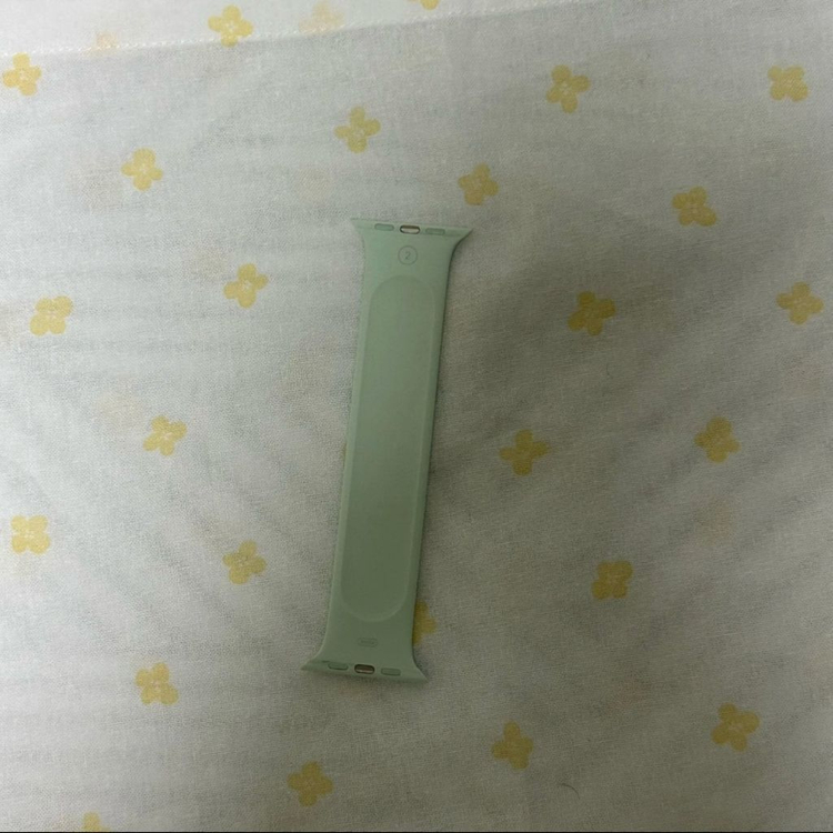 [애플 공식]애플워치 스트랩 45mm 소프트 솔로 루프 (민트, 사이즈 2) 이미지