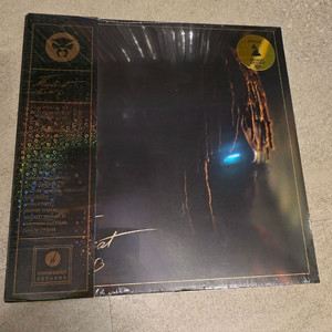 썬더캣 - It Is What It Is lp