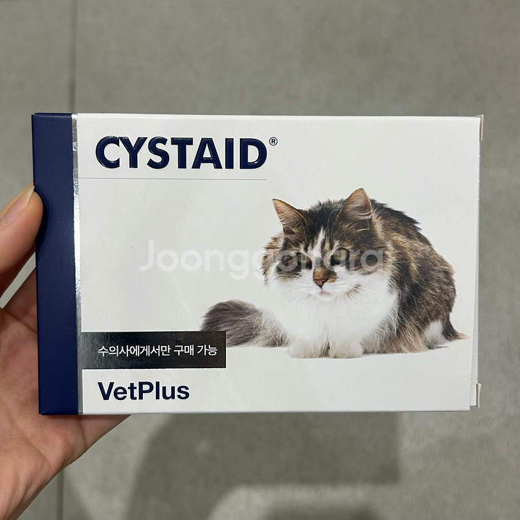 시스테이드 새상품 2개--0