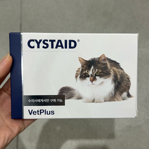 시스테이드 새상품 2개